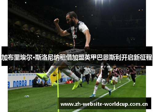 加布里埃尔·斯洛尼纳租借加盟英甲巴恩斯利开启新征程